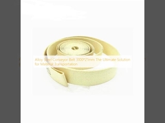 Ταινία μεταφοράς 3100*21mm Η απόλυτη λύση για τη μεταφορά υλικών